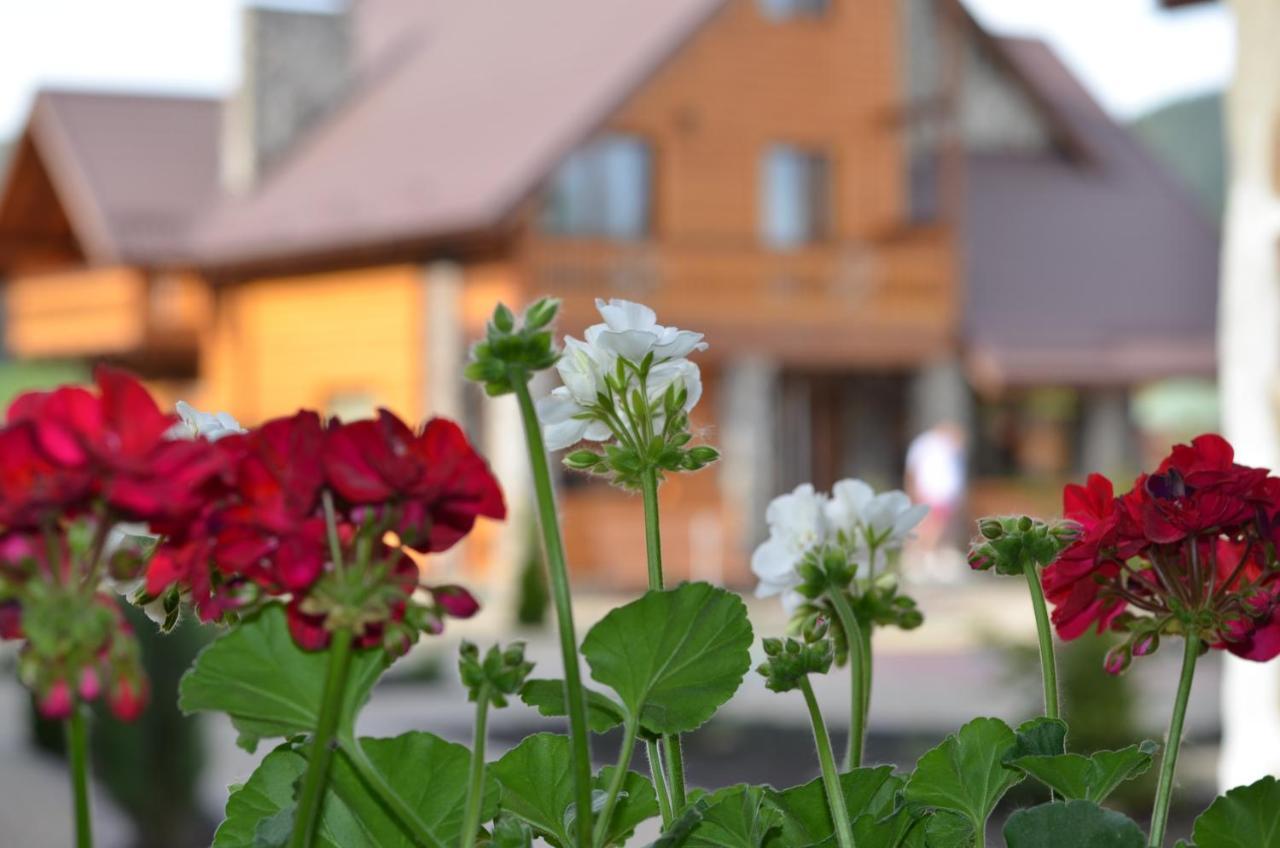 Отель Sribni Rosy Микуличин Экстерьер фото